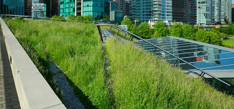 Palestra em Curitiba fala sobre construções Net Zero Energia