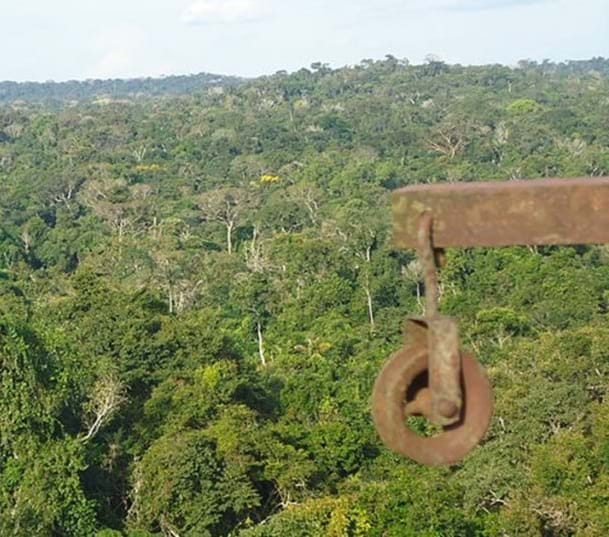 Projeto Amazônia 4.0 incentiva economia da região de forma sustentável