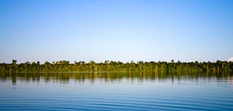  Pesquisador destaca desafios para a conservação na Amazônia