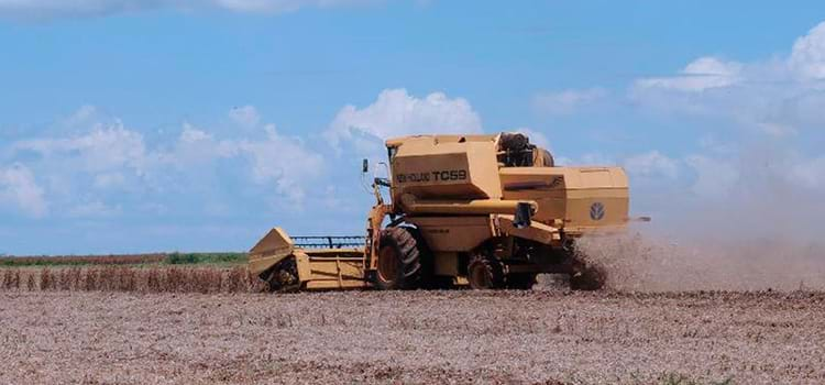 Produtores conhecem novas tecnologias para o agronegócio