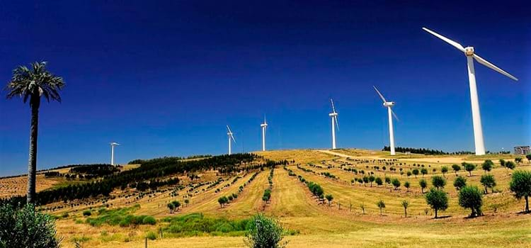 Energia eólica revoluciona matriz energética no Uruguai