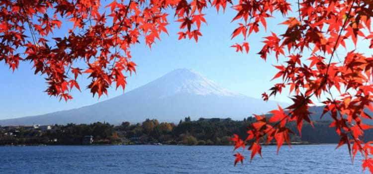 Japão dá bolsas de estudo para área de engenharia espacial