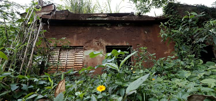 Impasse entre mineração e preservação ambiental