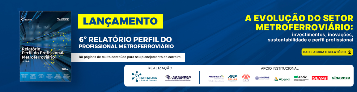 6º Relatório Perfil do Profissional Metroferroviário